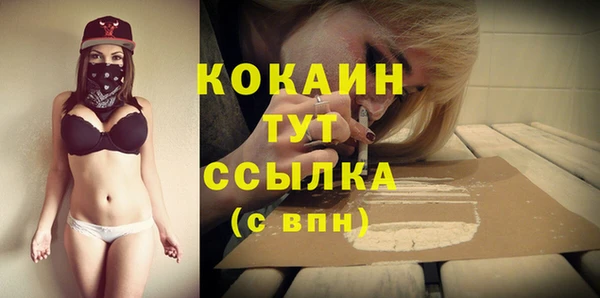 молекула духа Абинск