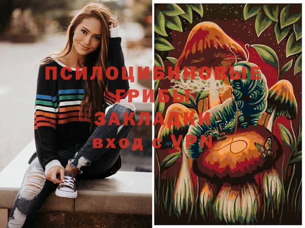 молекула духа Абинск