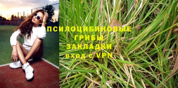 Альфа ПВП Абаза