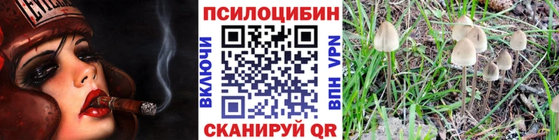 блэк спрут вход  Тольятти  Галлюциногенные грибы Cubensis 